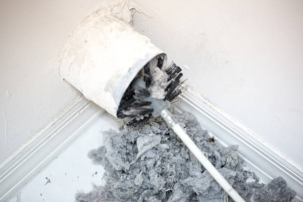 Best Home Air Vent Cleaning  in Cologne, NJ
